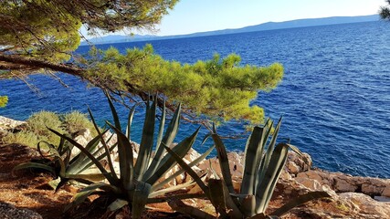 Fototapeta na wymiar blue türkise turcuoise water beach sea side rocks croatia boats sky pine trees