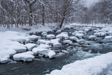 【冬】雪が積もった青森県の奥入瀬川
