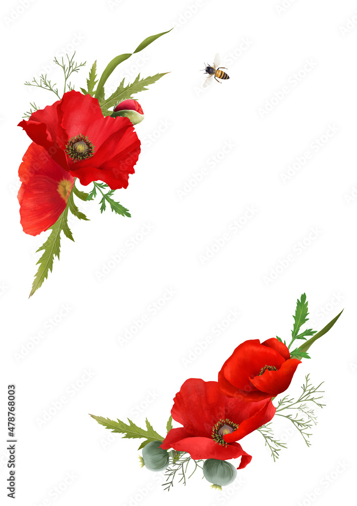 Wall mural beautiful poppy flowers in a beautiful composition isolated on white background. decorative element 