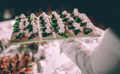 waiter holds tray with canape. Restaurant service. buffet or catering.