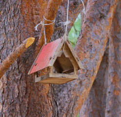 Birdhouse on a tree in the park