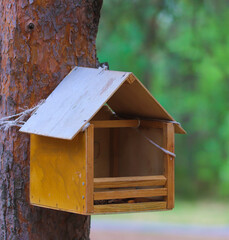 Birdhouse on a tree in the park