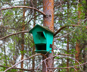 Birdhouse on a tree in the park