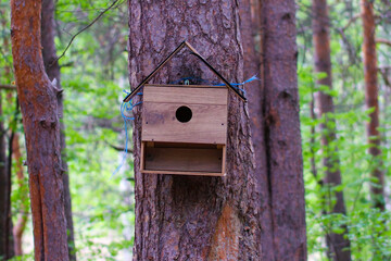 Birdhouse on a tree in the park
