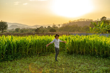 Fototapeta premium A young hipster farmer inspects the abundance of corn leaves while wearing a hat. An attractive male in harmony with the field nature raises his hands. Labor, happy hard work, hope, and rich concept