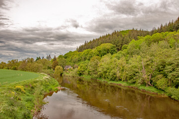 Fototapeta na wymiar River Wye in the Wye valley in England in the summertime.