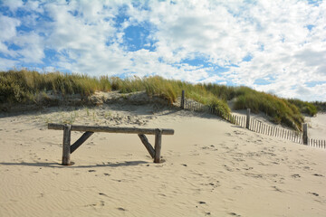 Fototapeta na wymiar Sand dune with beach grass and a wooden fence