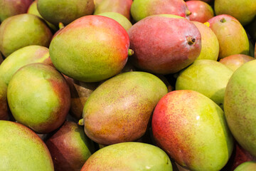 large pile of ripe fresh mango fruits for sale in the supermarket