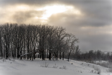 The sun through the clouds in winter