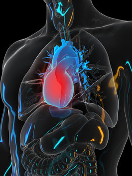 3d rendered illustration of a painful heart