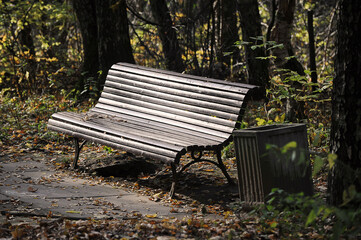 wooden bench in the park - autumn landscape