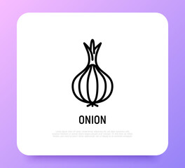 Onion thin line icon. Vegetable, flovouring. Healthy organic food. Vector illustration.