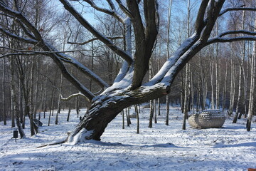 Frosty winter environment tranquility atmosphere. Woodland in Krakow covered with fresh clean snow, forest Muzyczna Polana with wooden pavillion gazebo bench. Beauty at low temperatures is real beauty - obrazy, fototapety, plakaty