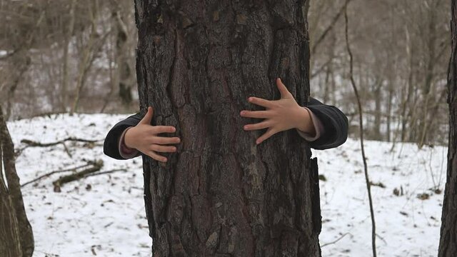 A child's hand hugs a tree in the woods in winter