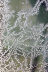 Frost Fractal Patterns On A Pane Of Glass