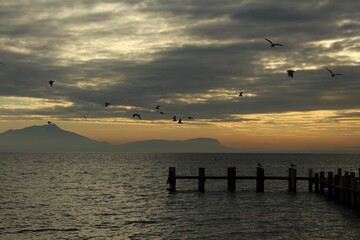 Silhouetted birds flying above a pier in a lake at sunset, with mountains in the background. Tranquil, dark, sunset beach scene (Lake Geneva, Switzerland)