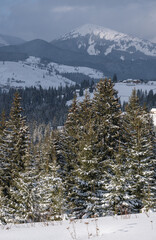 Winter remote alpine mountain village outskirts, countryside hills, groves and farmlands.