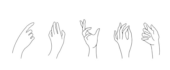 A set of gestures of female palms. Thin hand lines on a white background.