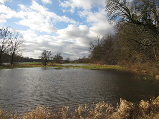 B&auml;ume an einer Wiese am Wasser