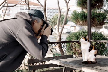 Man with camera taking a picture of stray cat on street, in the park. Hobby- street photography. Selective focus.