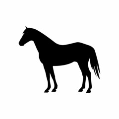 horse vector icon, horse silhouette design