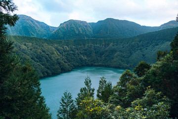Fototapeta na wymiar Azoren, Portugal, Sao Miguel, grünes Paradies, Vulkan, Urwald
