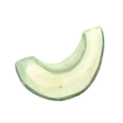 Avocado watercolor big set. High quality photo. Healthy food image collection. 
