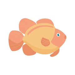 Aquarium big goldfish isolated on white background. Cartoon vector illustration
