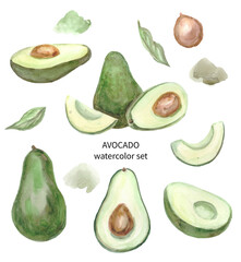 Avocado watercolor big set. High quality photo. Healthy food image collection. 