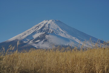 冬の富士山の雪化粧