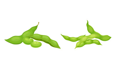 Soy Grain Legume or Pulse Crop with Green Pod and Beans Vector Set