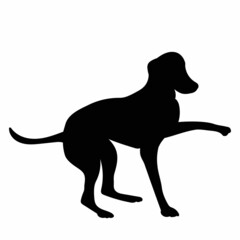 dog, puppy black silhouette, isolated, vector, icon