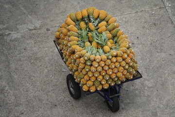 Here on the street, inexpensive pineapples (Ananas comosus or Ananas sativus) are offered. Manaus -...