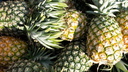 Ripe pineapple fruit close up.