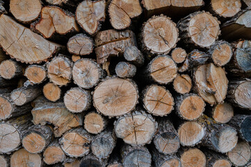 A pile of firewood drying before winter