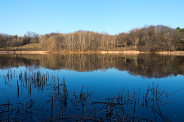 marthaler park and pond spring horizon