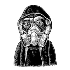 Monkey dressed in the hoodie and respirator. Vintage engraving