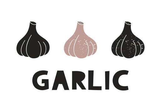 Garlic, silhouette icons set with lettering. Imitation of stamp, print with scuffs. Simple black shape and color vector illustration. Hand drawn isolated elements on white background