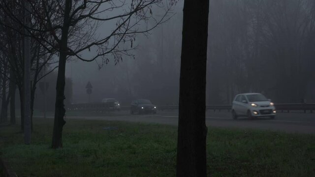 Auto con i fari accesi nella nebbia