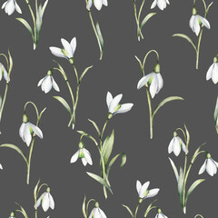 Seamless pattern with gentle spring flowers of snowdrops on an isolated background. Watercolor botanical flowers.
