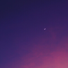 moon in the sky