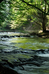 Stream flowing through forested landscape.