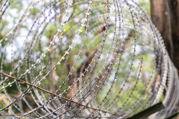 Barbed wire, razor wire on the border. barbed wire steel wall against the immigration. barbwire...