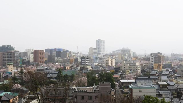 福井市の風景