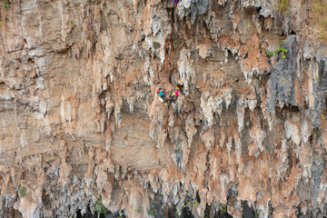Fototapeta premium Aerial top view of tourist sprinkle the rope at Spirit Well Cave, Pang Mapha District, Mae Hong Son, Thailand. Adventure activity lifestyle. People. Tourist attraction landmark. Nature landscape.