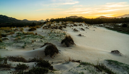 Observer of the sunset on the sand dunes in Capo Comino, east coast of Sardinia
