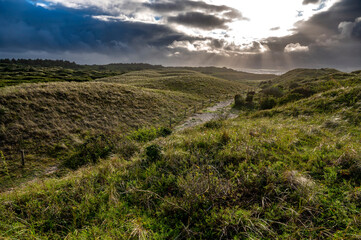 Töwerland - die Landschaft der Nordseeinsel Juist