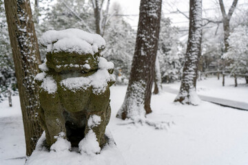 東京都杉並区和泉）雪の中の和泉熊野神社の狛犬