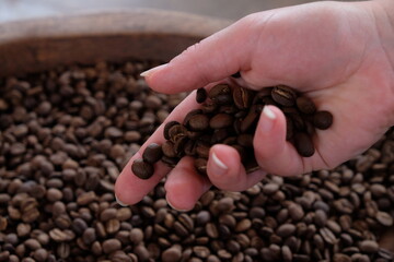 coffee beans in the hands