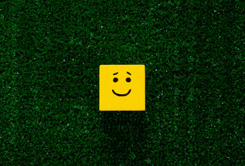 One smiling yellow cube on the artificial grass. Customer satisfaction and trusting the product...